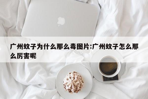 广州蚊子为什么那么毒图片:广州蚊子怎么那么厉害呢