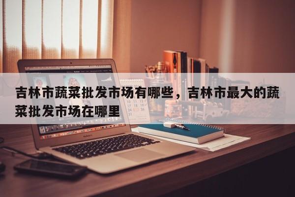吉林市蔬菜批发市场有哪些，吉林市最大的蔬菜批发市场在哪里
