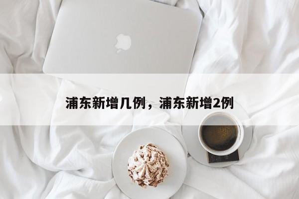 浦东新增几例，浦东新增2例