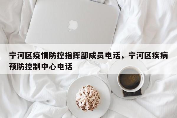 宁河区疫情防控指挥部成员电话，宁河区疾病预防控制中心电话