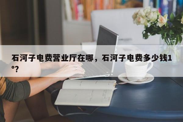 石河子电费营业厅在哪，石河子电费多少钱1°?