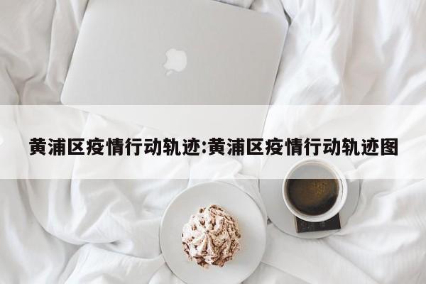 黄浦区疫情行动轨迹:黄浦区疫情行动轨迹图