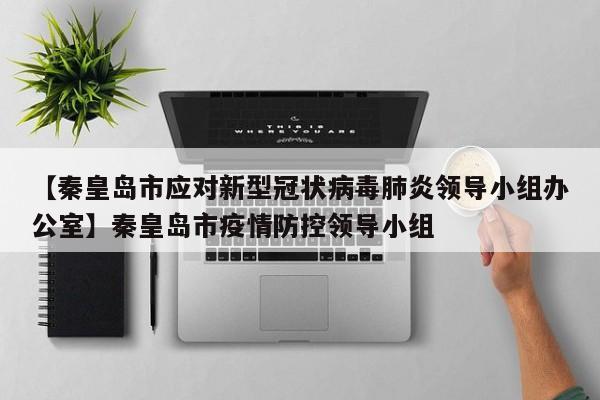 【秦皇岛市应对新型冠状病毒肺炎领导小组办公室】秦皇岛市疫情防控领导小组