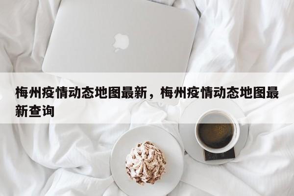 梅州疫情动态地图最新，梅州疫情动态地图最新查询